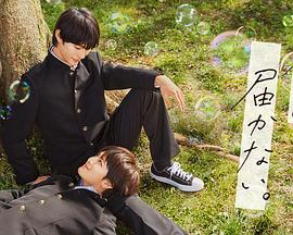 智能化seo优化资费